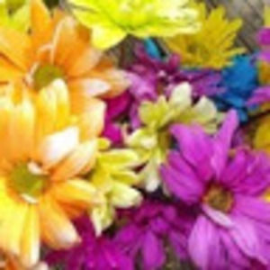 Meet your Posher, Markita